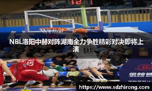 NBL洛阳中赫对阵湖南全力争胜精彩对决即将上演